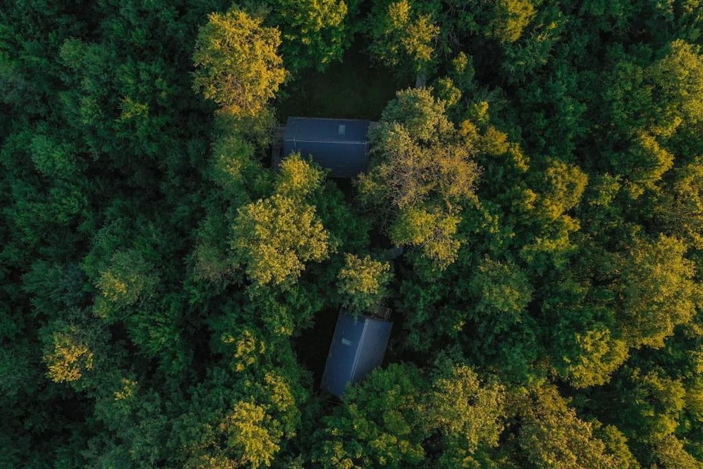 Tree Elements Treehouse Retreat Apartment Slunj Bagian luar foto