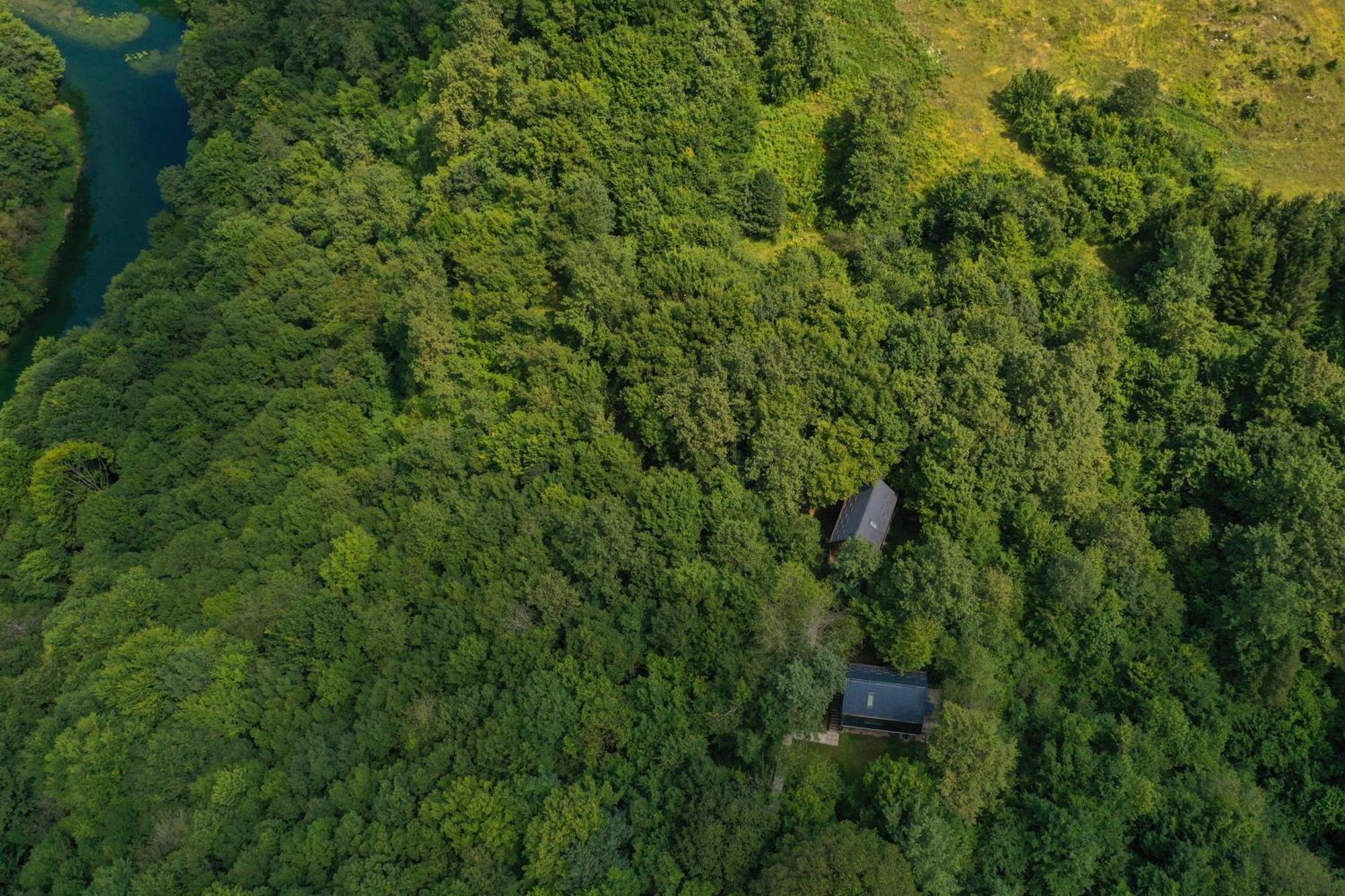 Tree Elements Treehouse Retreat Apartment Slunj Bagian luar foto