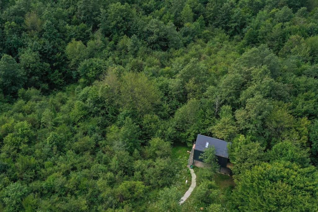 Tree Elements Treehouse Retreat Apartment Slunj Bagian luar foto